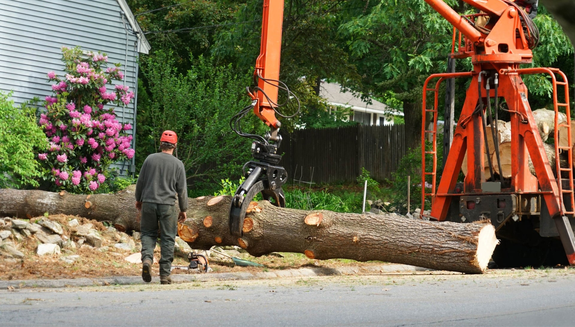 Local partner for Tree removal services in Nashville
