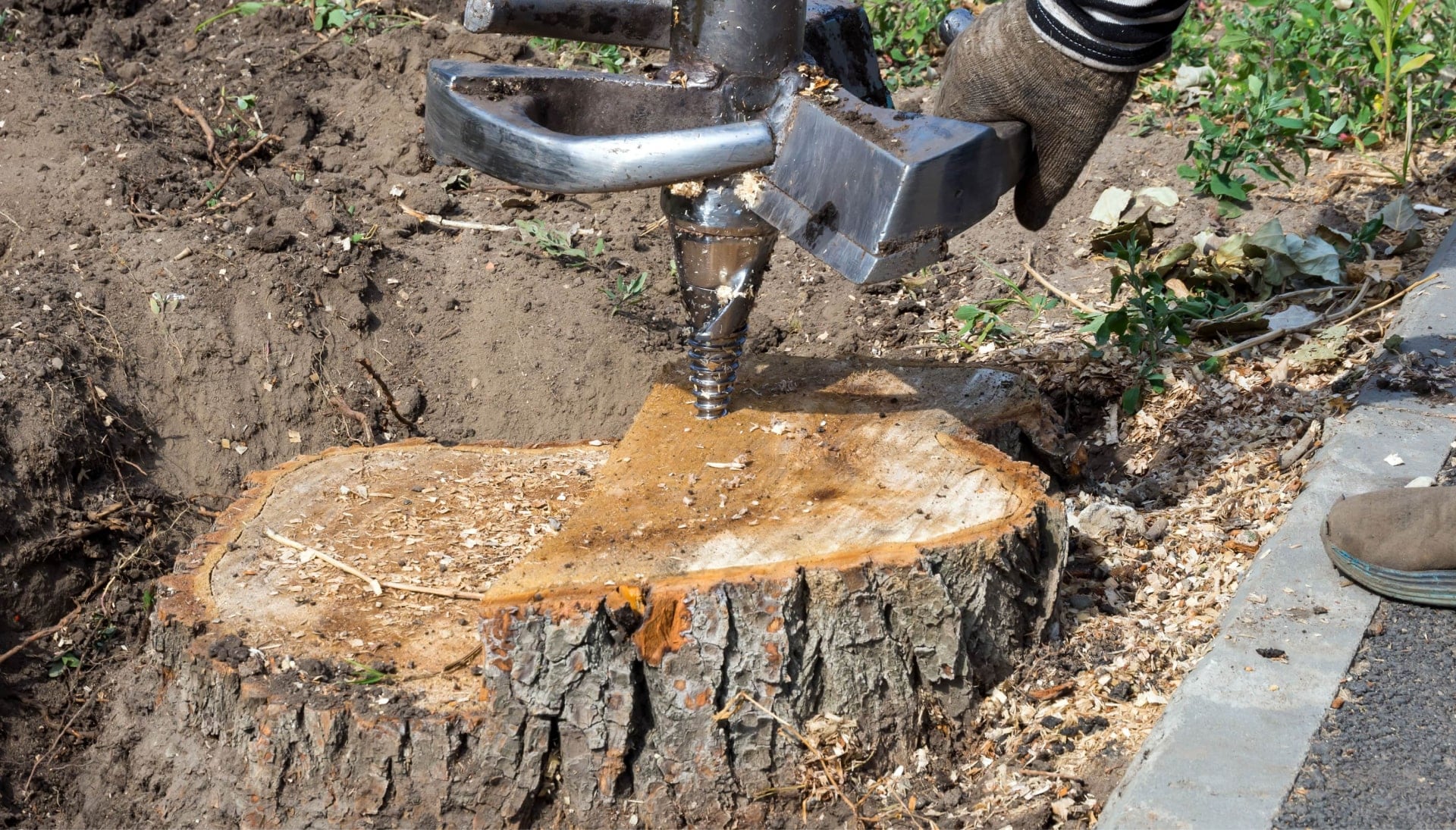 Nashville Tree stump removal